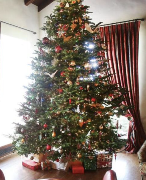 A Tucson T-Bird Christmas